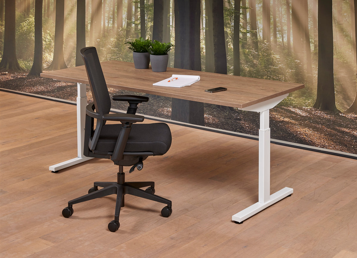 Vergadertafel Ora 200x100 cm Basic