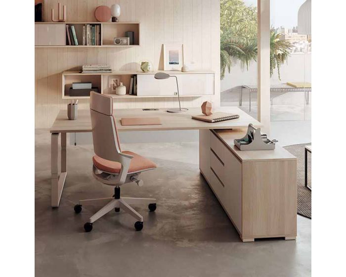 Directie bureau Pensum 180x80 cm